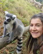 Lemur opice na adopciu – fotka 2
